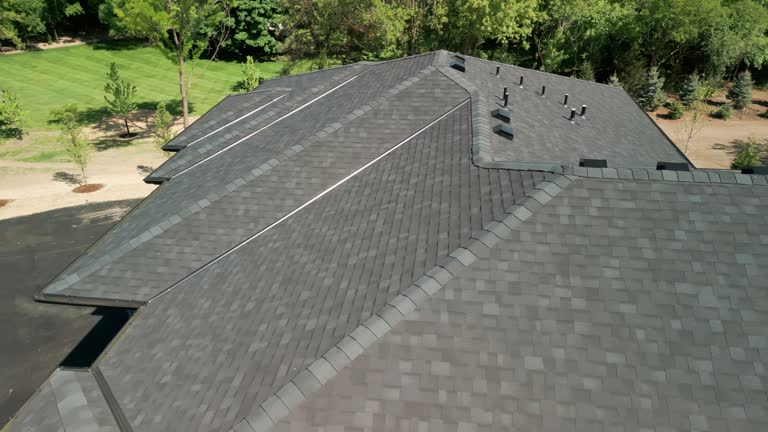 Best Roof Insulation Installation  in Ceresco, NE