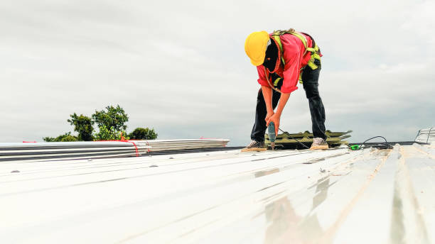 Best Roof Waterproofing  in Ceresco, NE