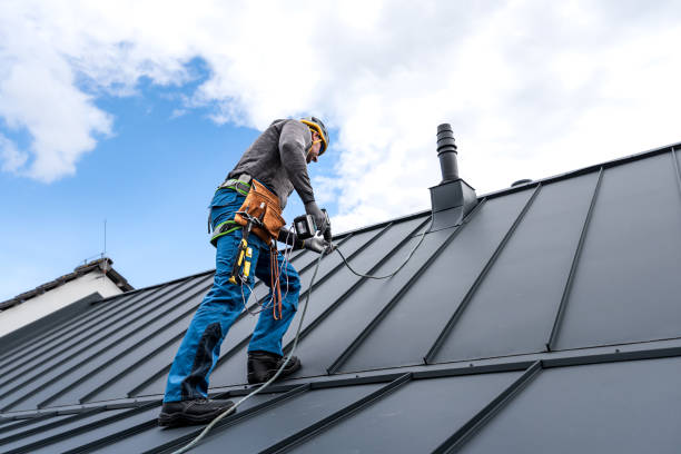 Best Roofing for New Construction  in Ceresco, NE